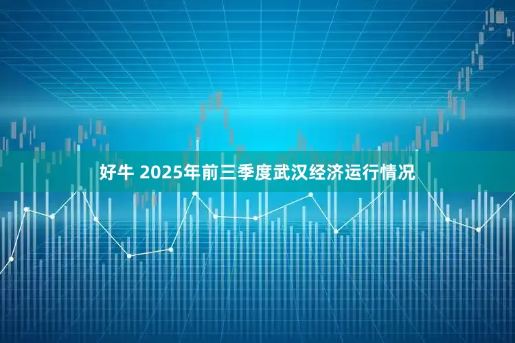 好牛 2025年前三季度武汉经济运行情况